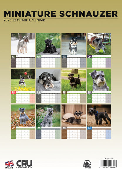 Miniature Schnauzer - A3 Calendar 2026