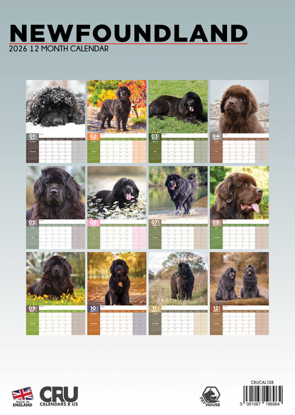 Newfoundland - A3 Calendar 2026