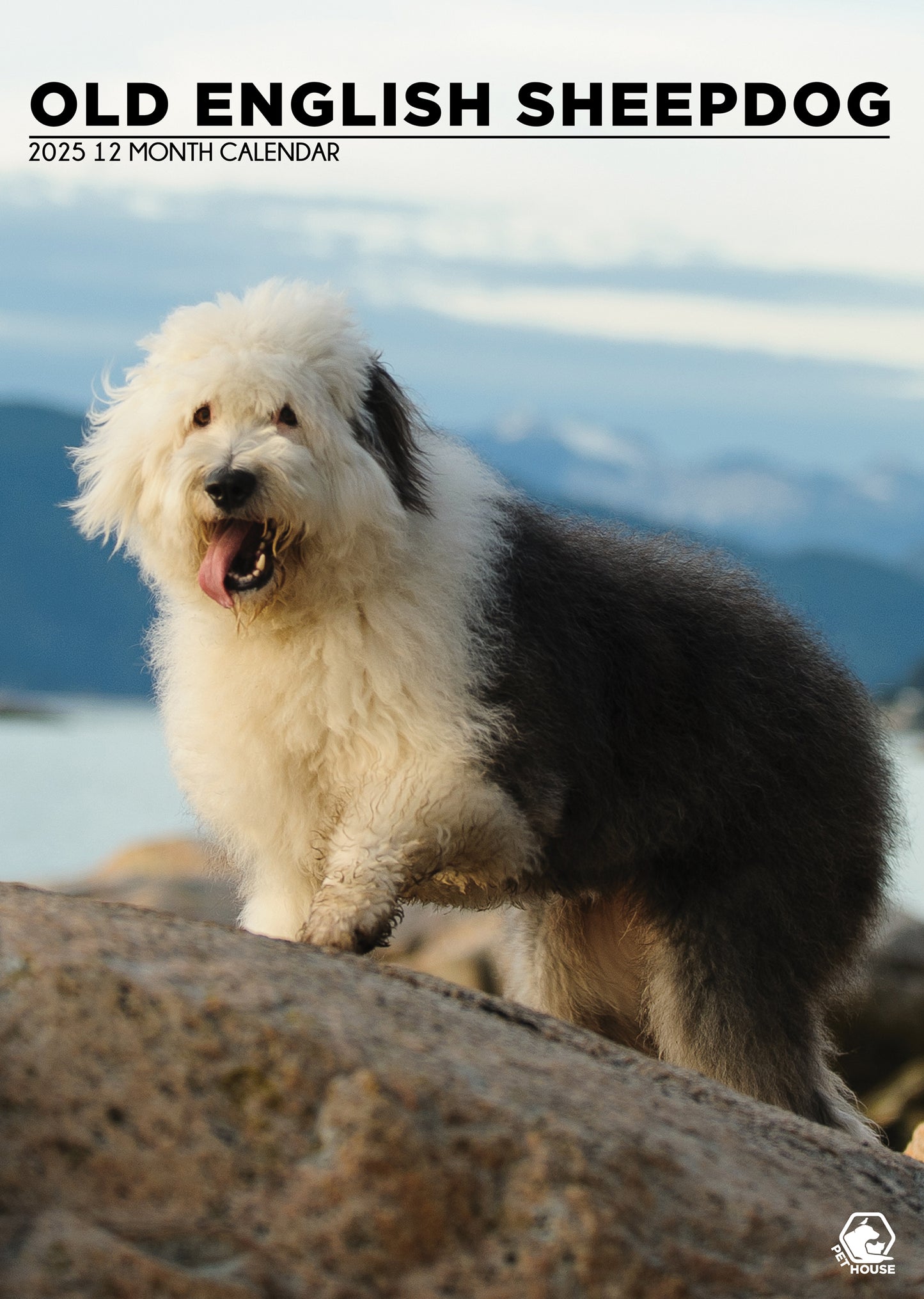 Old English Sheepdog Calendar 2025 CalendarsRus