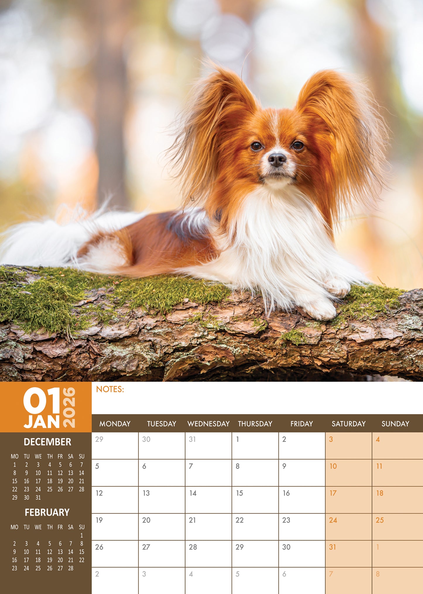 Papillon - A3 Calendar 2026