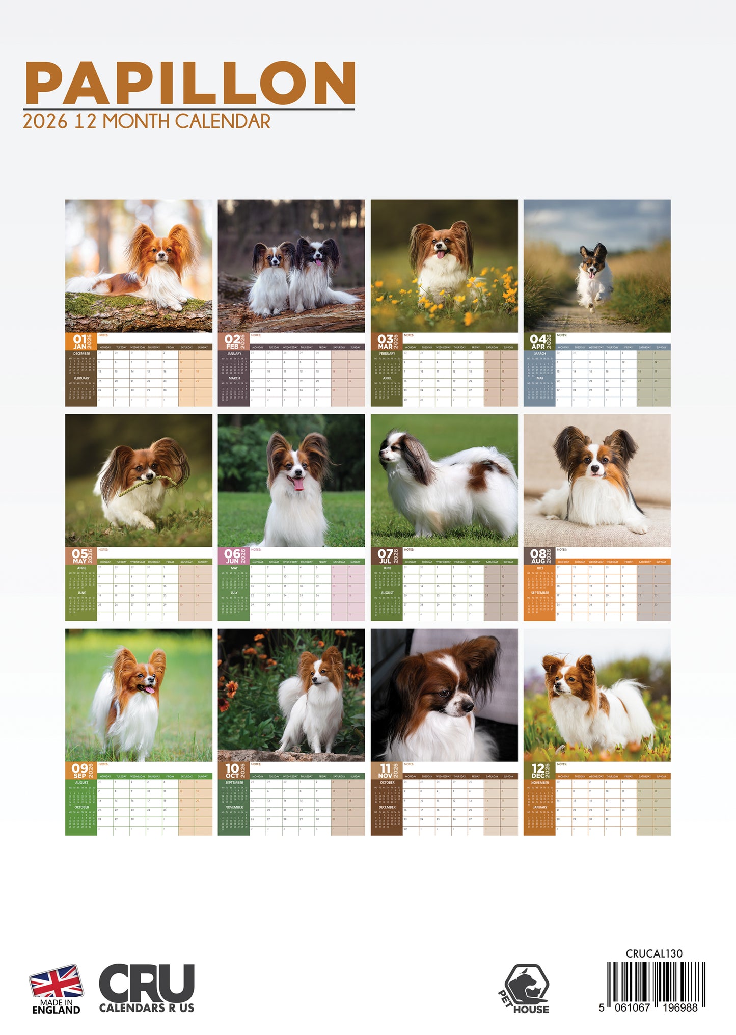 Papillon - A3 Calendar 2026