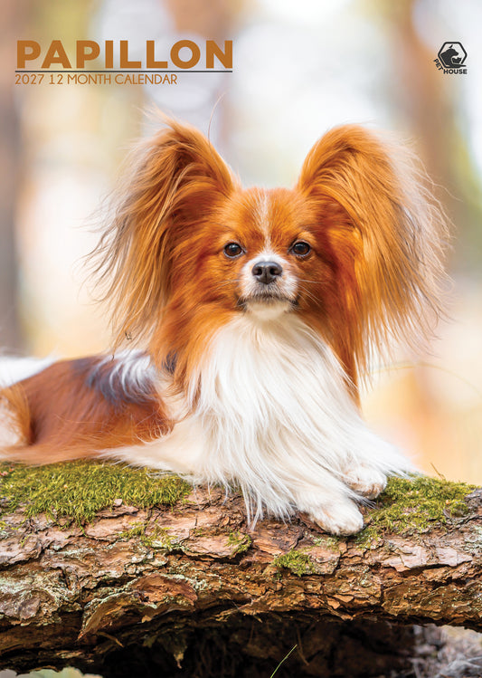 Papillon - A3 Calendar 2027