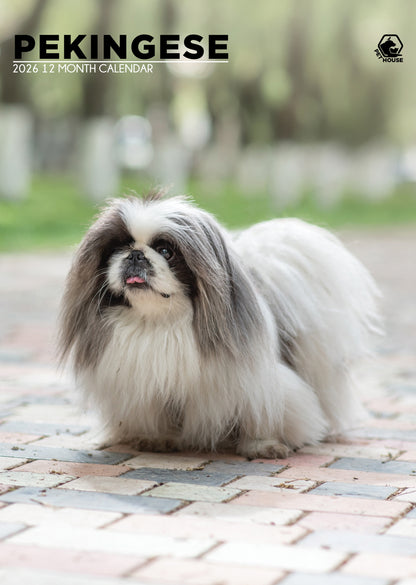 Pekingese - A3 Calendar 2026