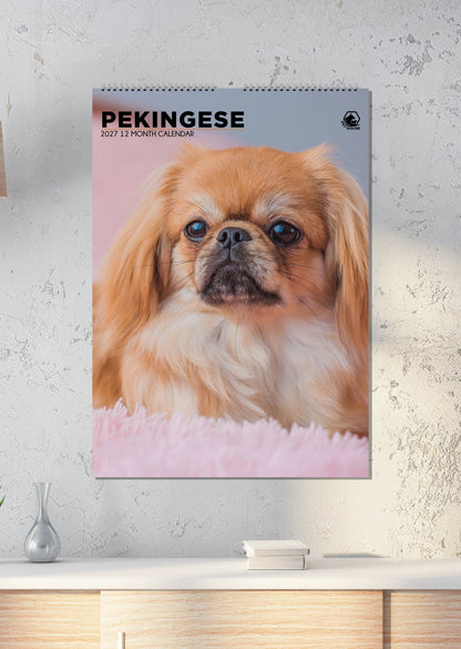 Pekingese - A3 Calendar 2027