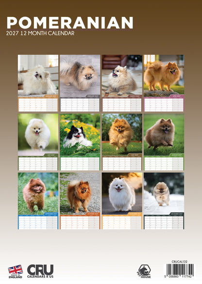 Pomeranian - A3 Calendar 2027