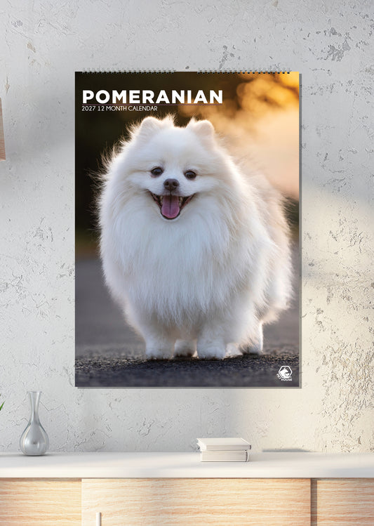 Pomeranian - A3 Calendar 2027