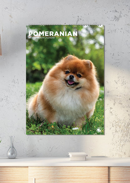 Pomeranian - A3 Calendar 2026