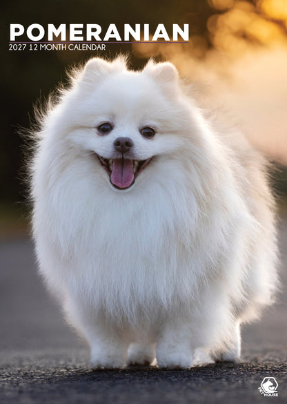 Pomeranian - A3 Calendar 2027