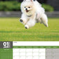 Pomeranian Calendar 2025