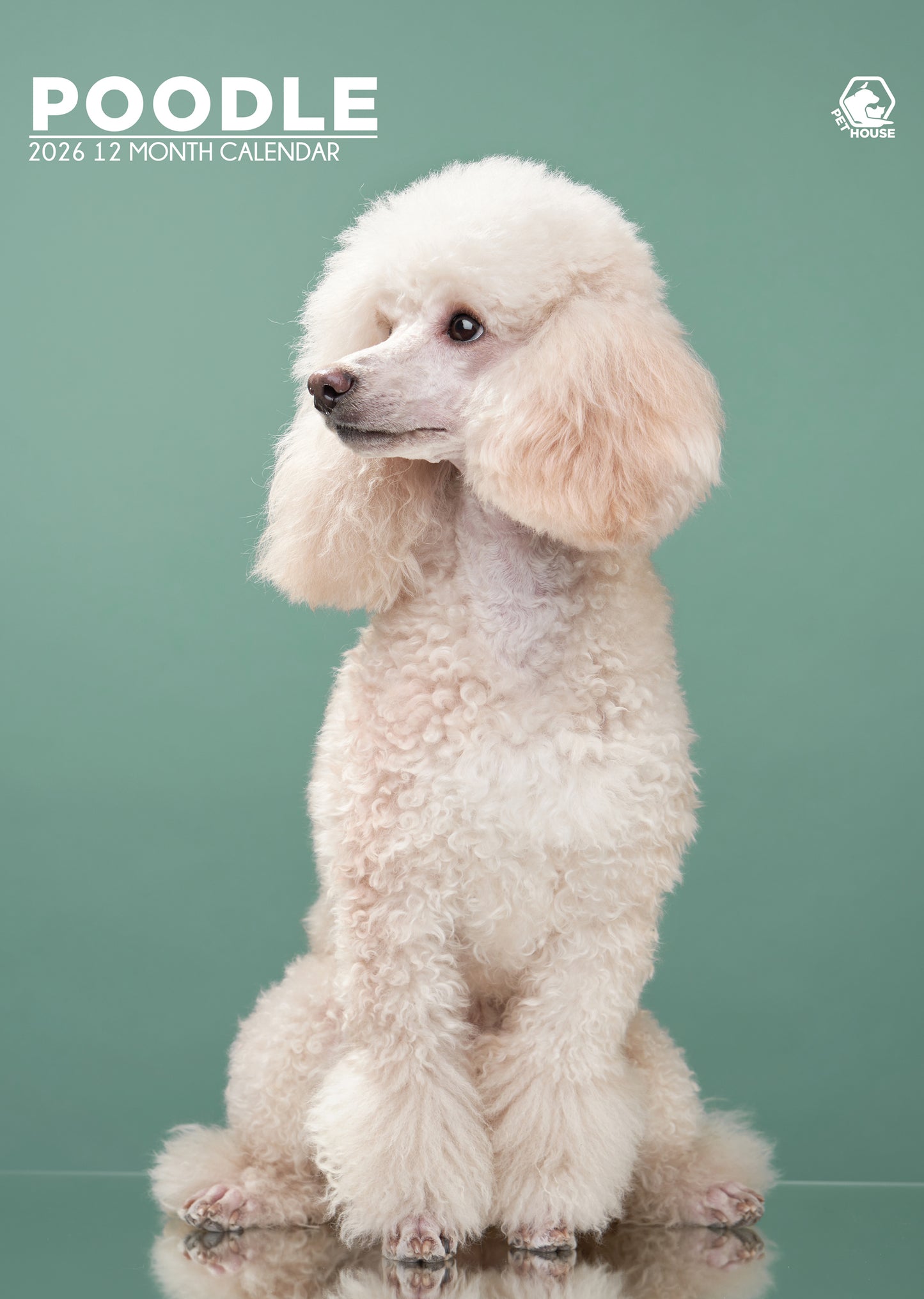 Poodle - A3 Calendar 2026