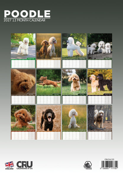 Poodle - A3 Calendar 2027