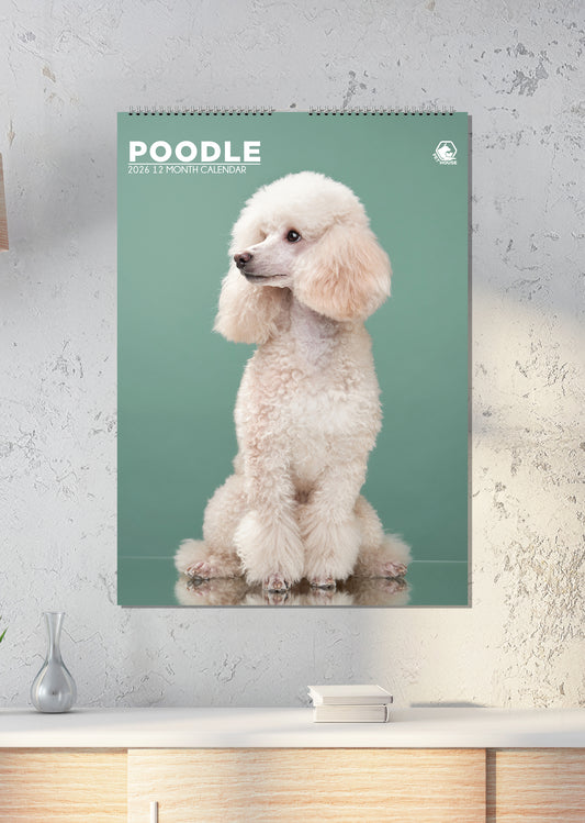 Poodle - A3 Calendar 2026