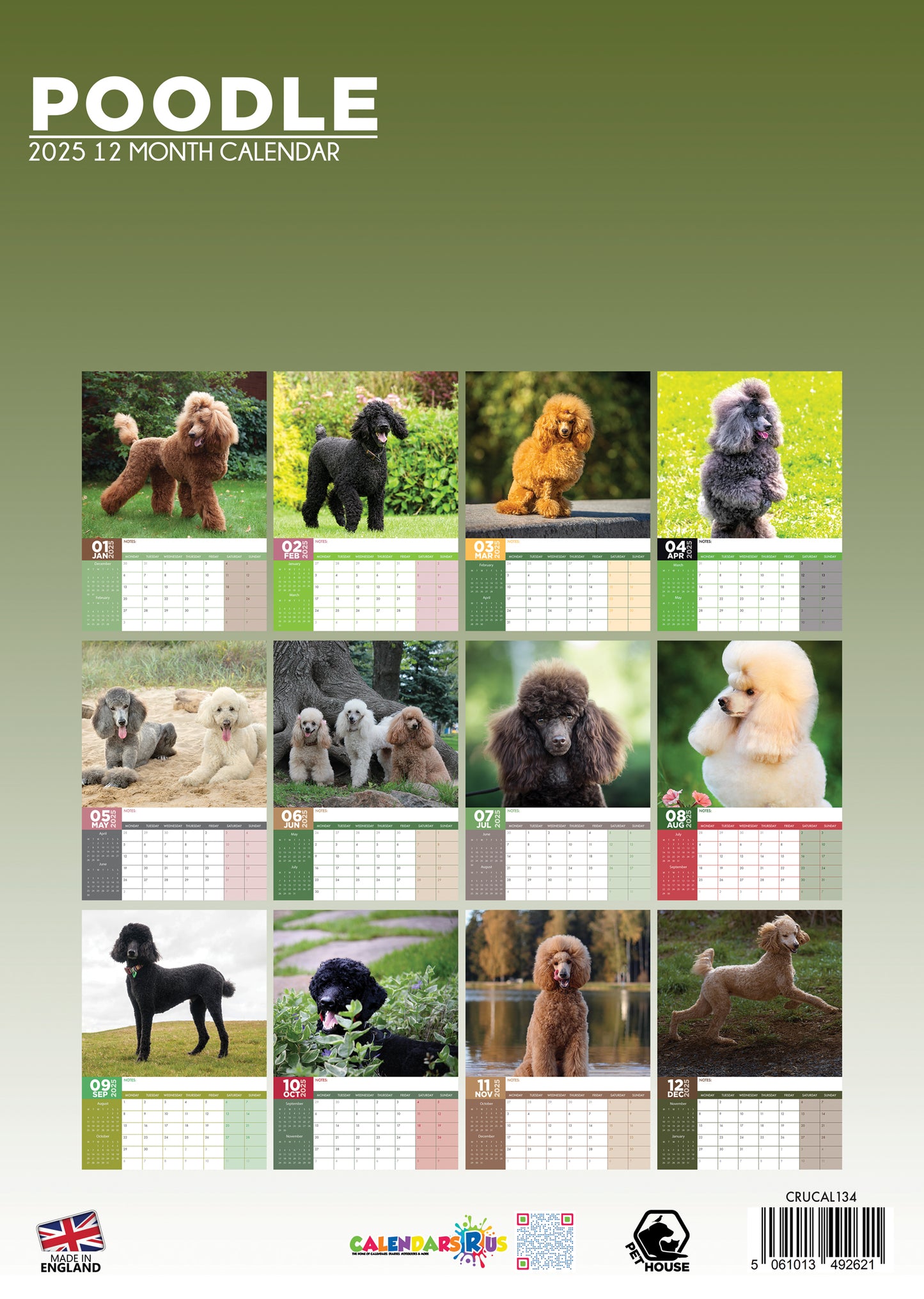 Poodle Calendar 2025