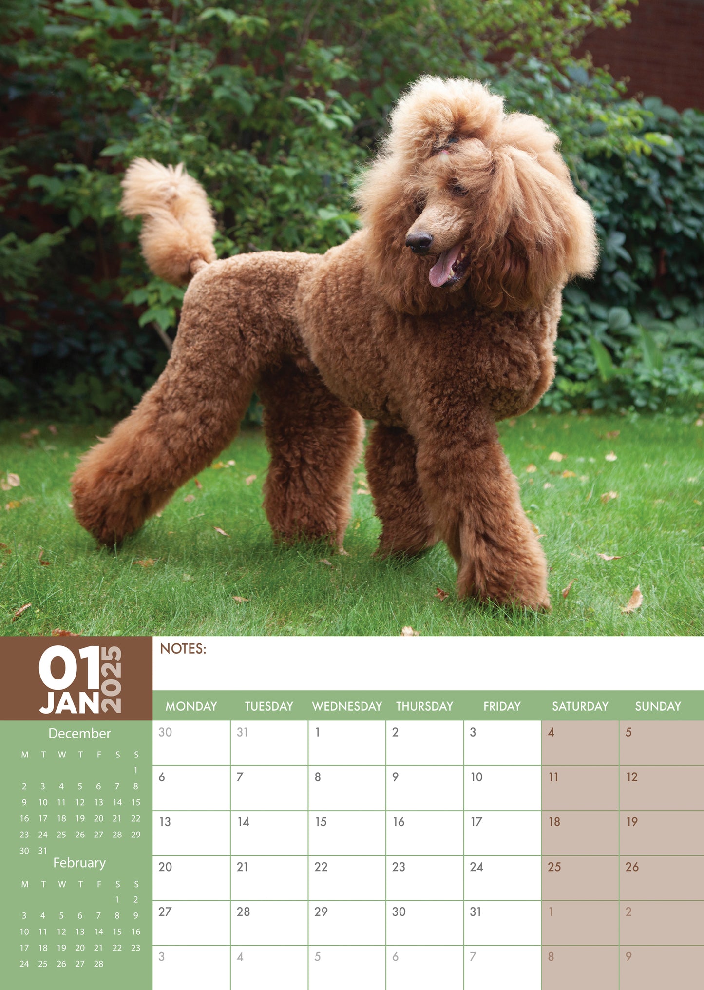 Poodle Calendar 2025