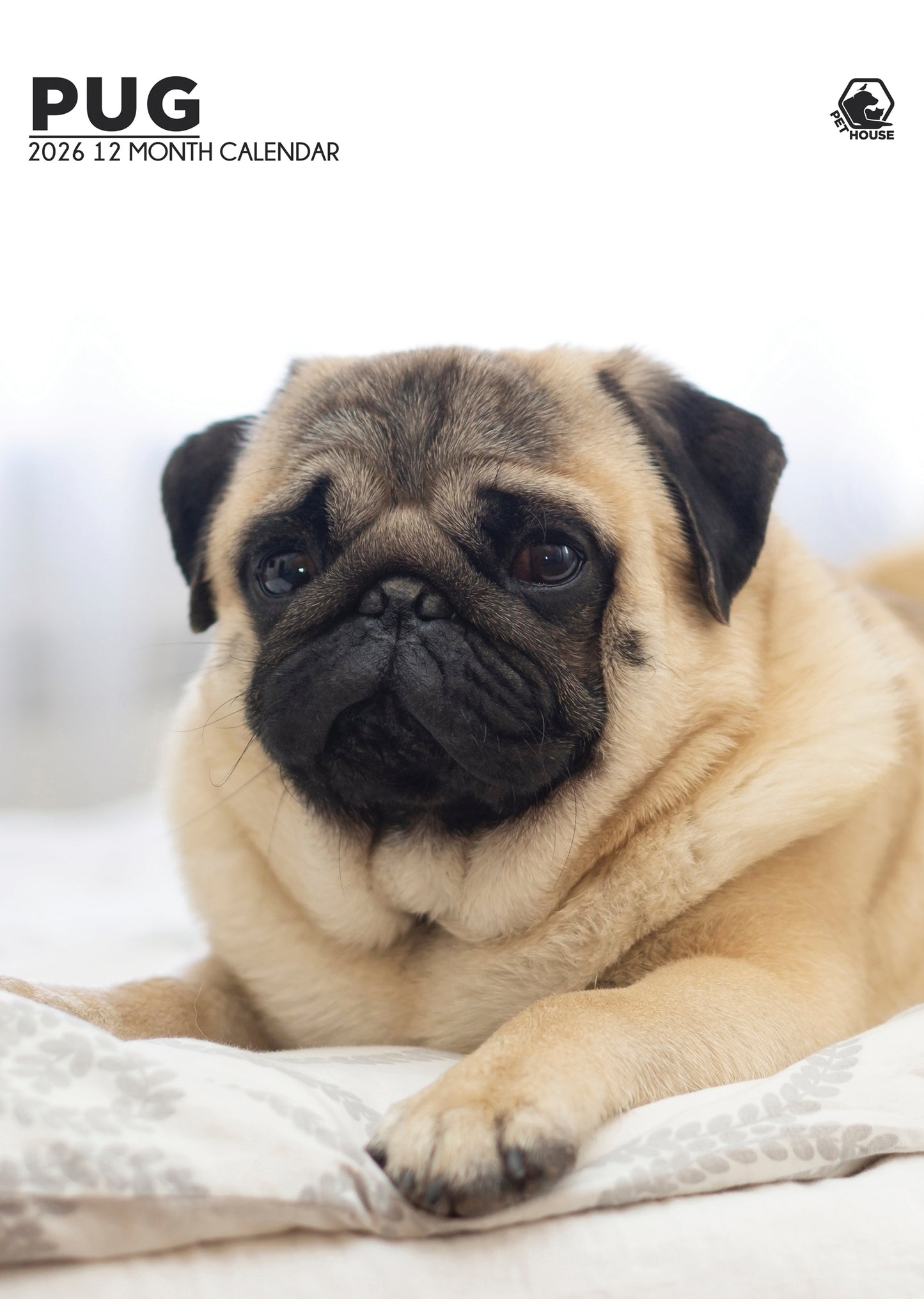 Pug A3 Calendar 2026 CalendarsRus