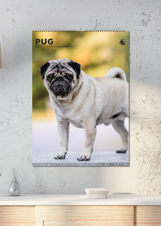 Pug - A3 Calendar 2027