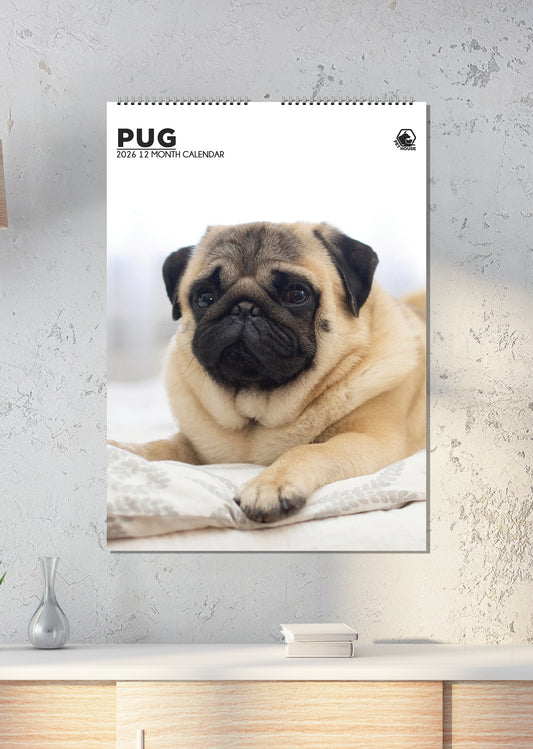 Pug - A3 Calendar 2026