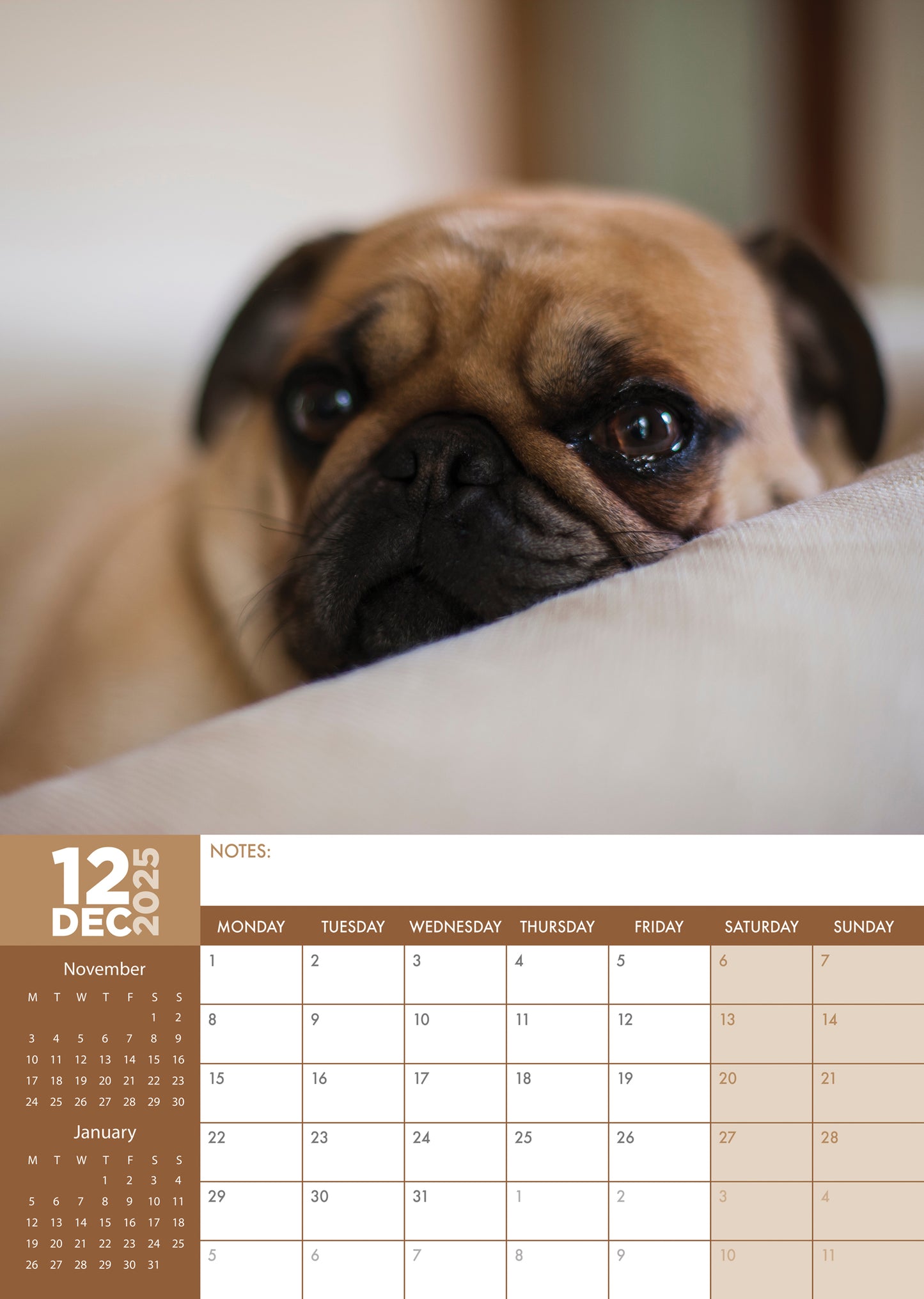 Pug Calendar 2025