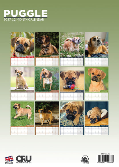 Puggle - A3 Calendar 2027