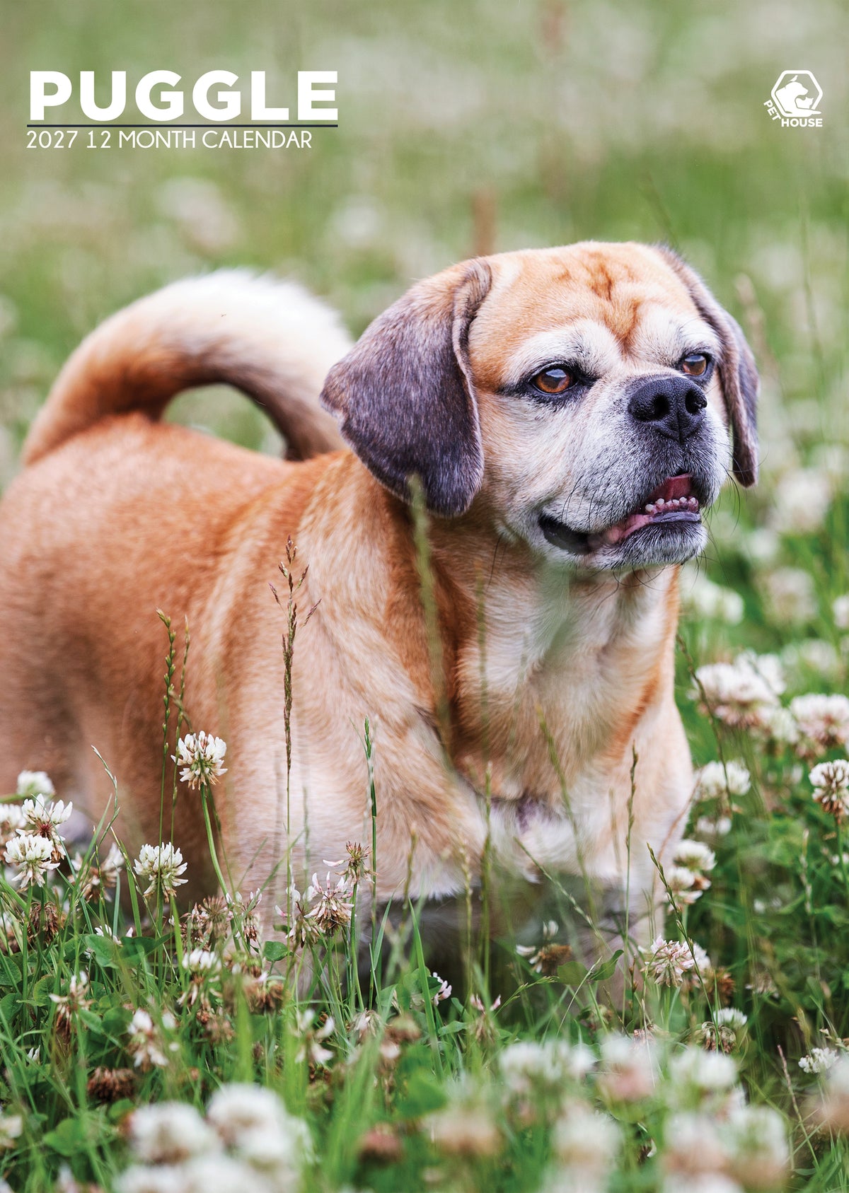 Puggle - A3 Calendar 2027