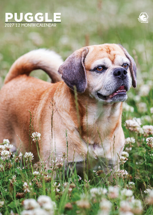 Puggle - A3 Calendar 2027