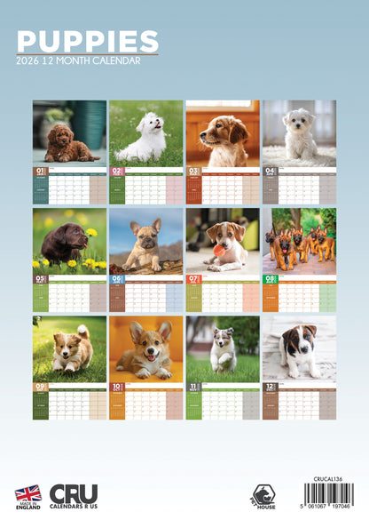Puppies - A3 Calendar 2026