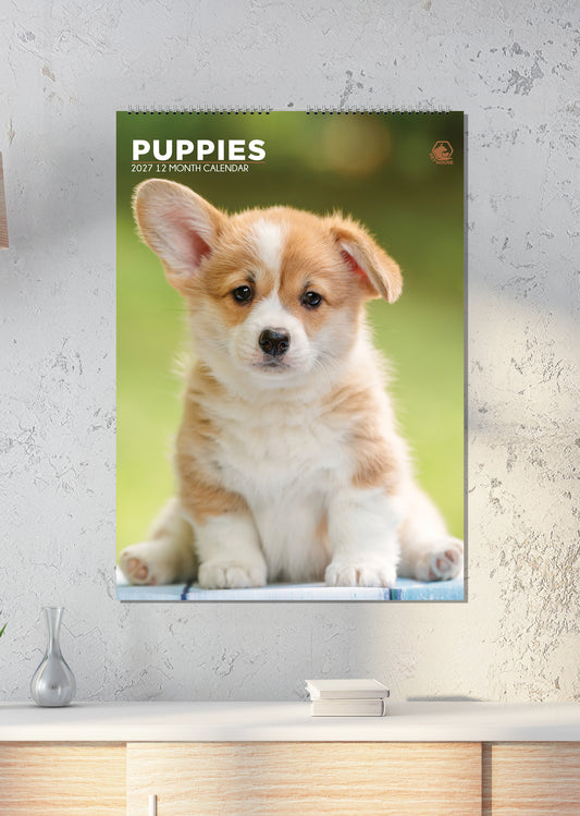 Puppies - A3 Calendar 2027