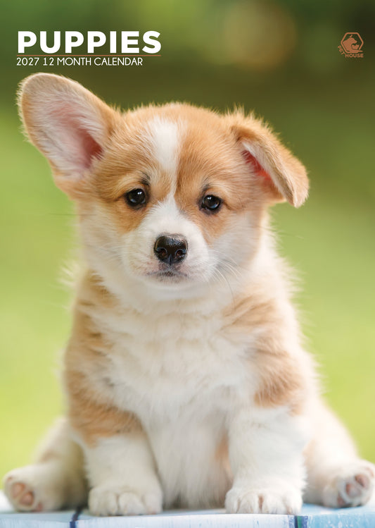 Puppies - A3 Calendar 2027