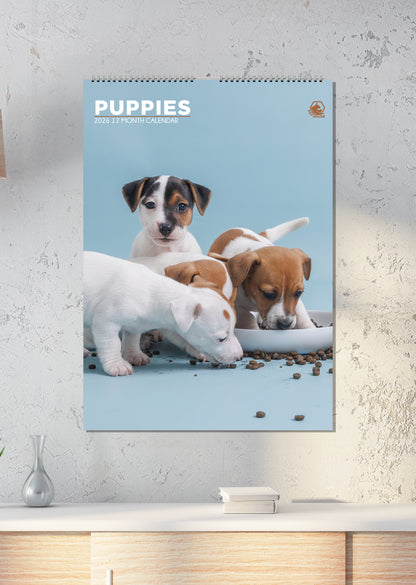 Puppies - A3 Calendar 2026