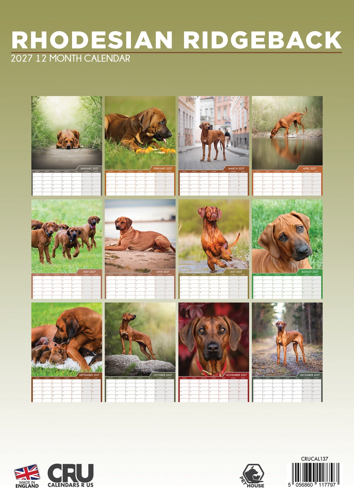 Rhodesian Ridgeback - A3 Calendar 2027