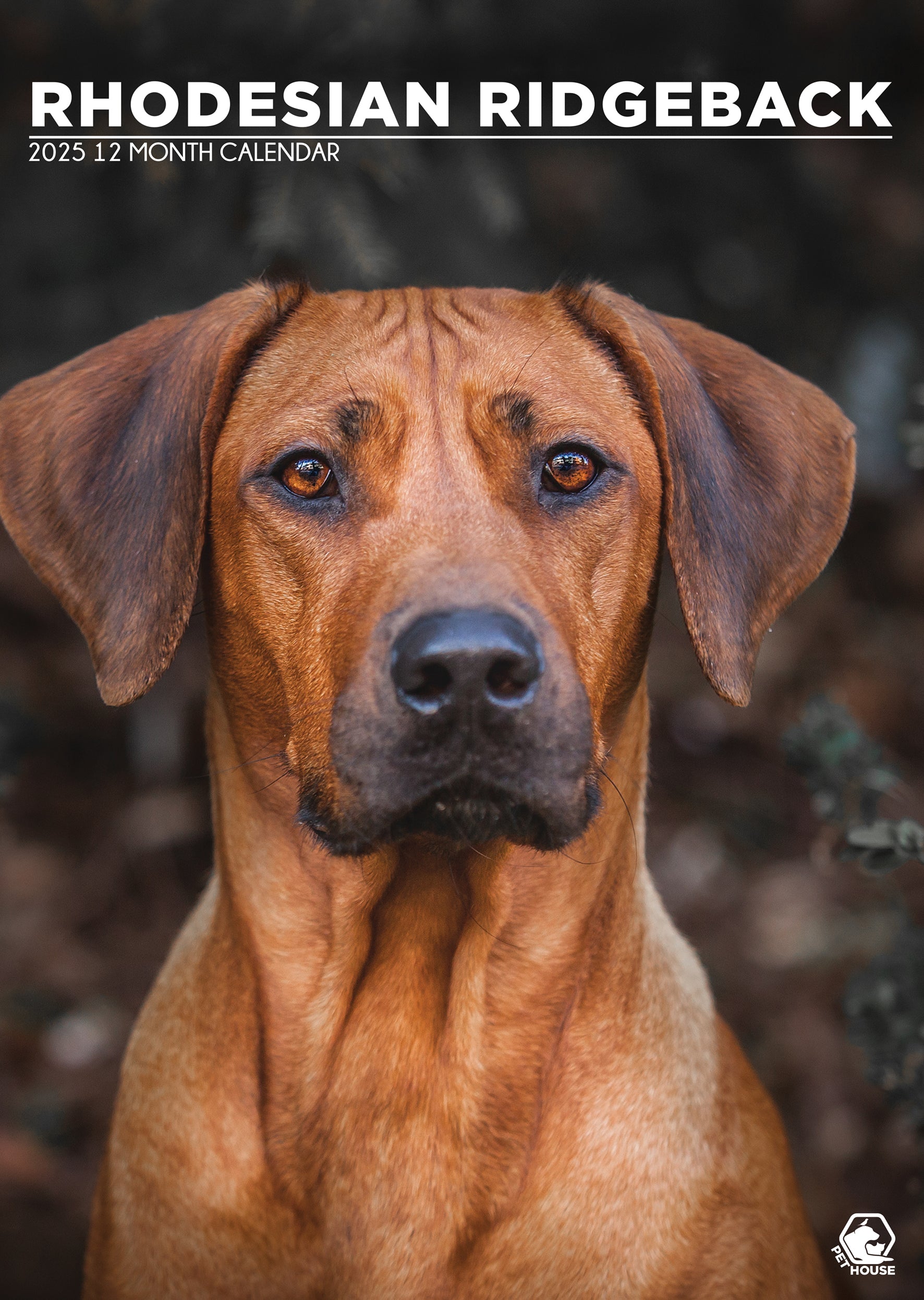 Rhodesian Ridgeback Calendar 2025 CalendarsRus