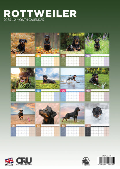 Rottweiler - A3 Calendar 2026