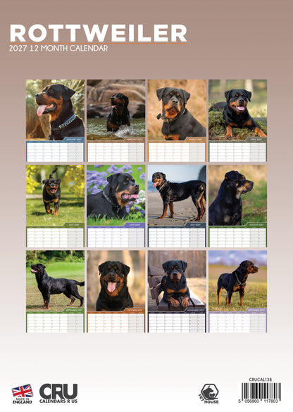 Rottweiler - A3 Calendar 2027