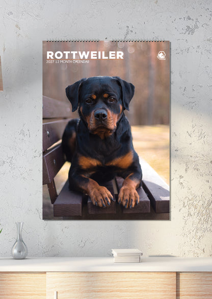 Rottweiler - A3 Calendar 2027