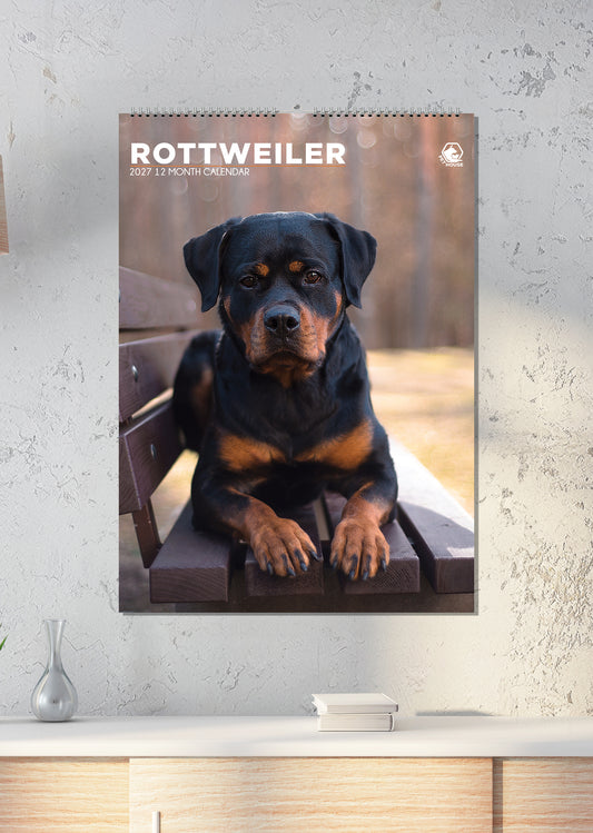 Rottweiler - A3 Calendar 2027