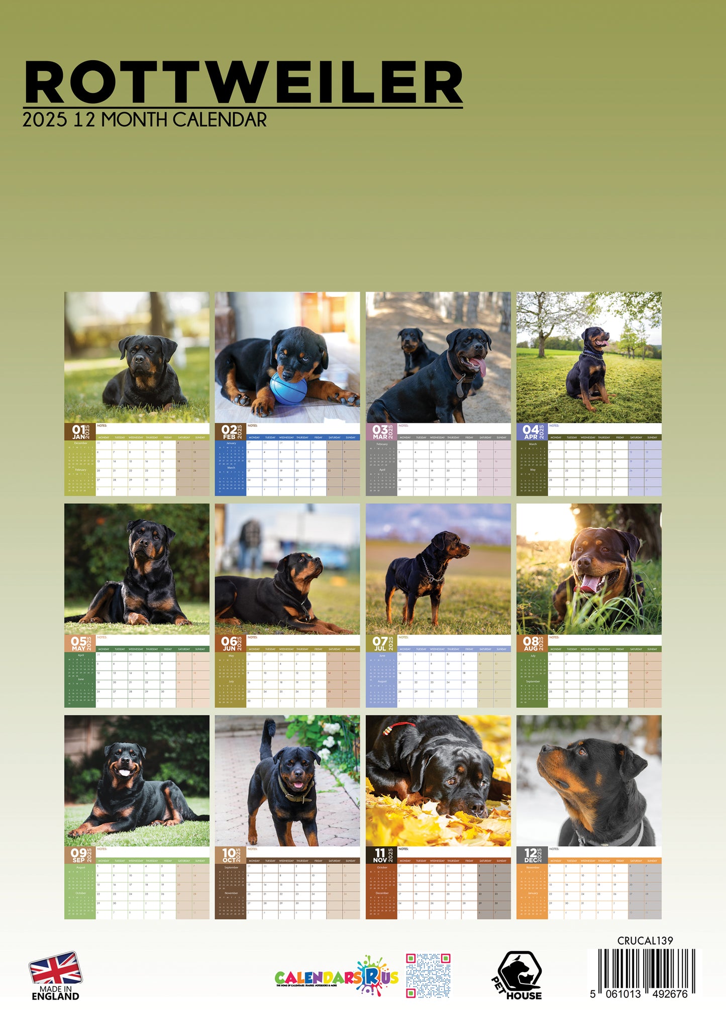 Rottweiler Calendar 2025