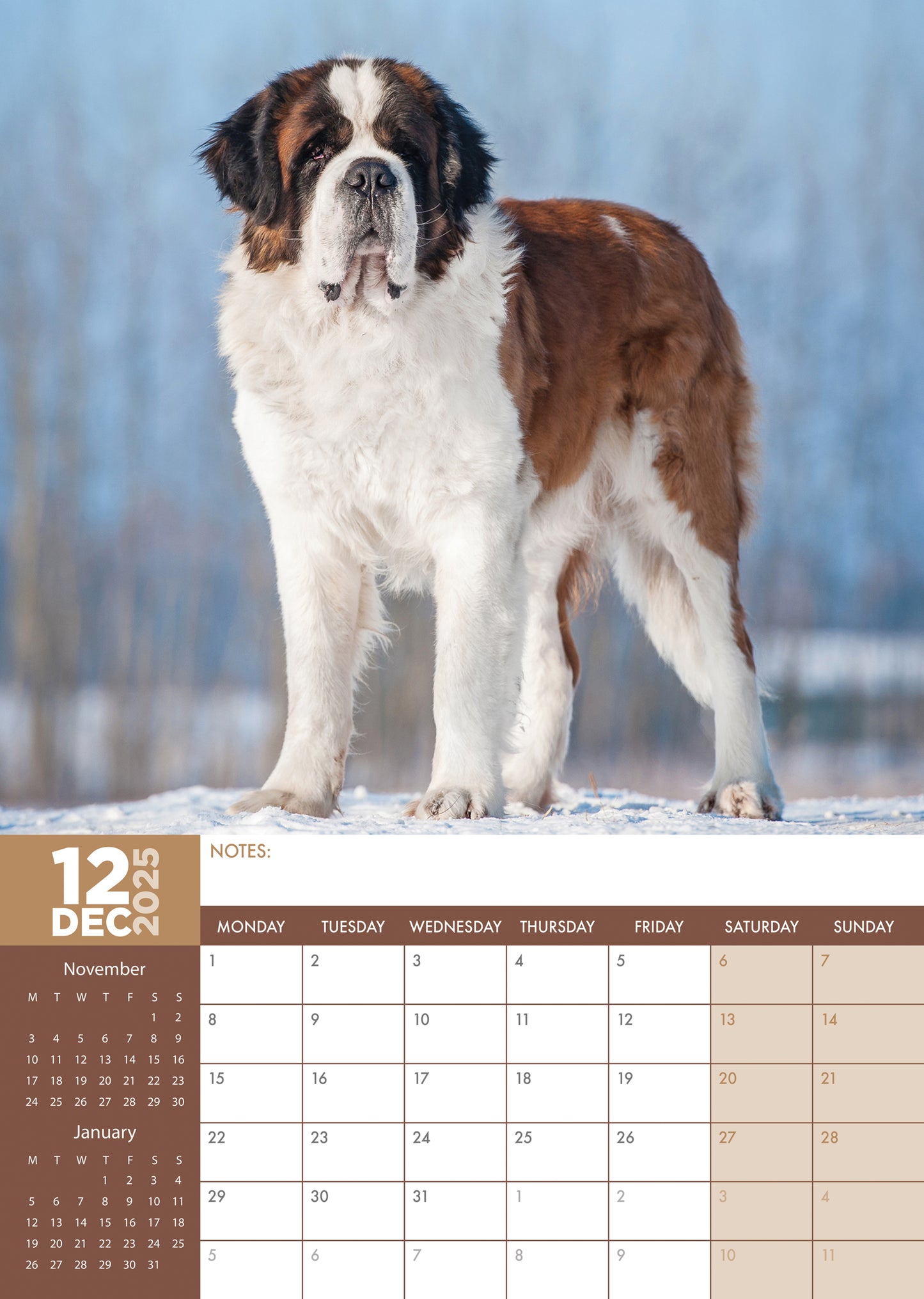 Saint Bernard Calendar 2025