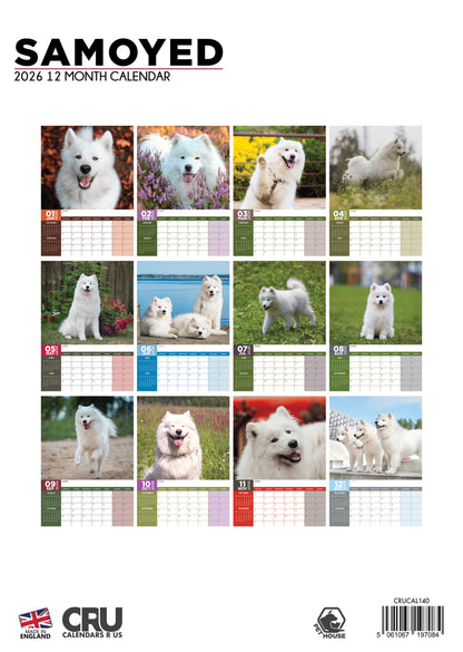 Samoyed - A3 Calendar 2026
