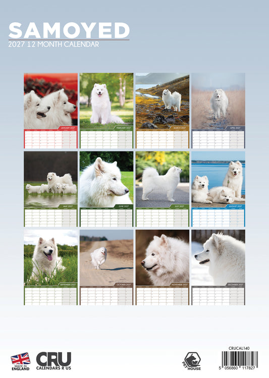 Samoyed - A3 Calendar 2027