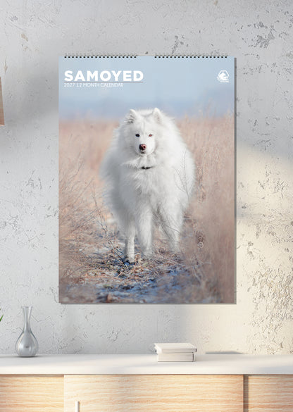 Samoyed - A3 Calendar 2027