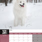 Samoyed Calendar 2025