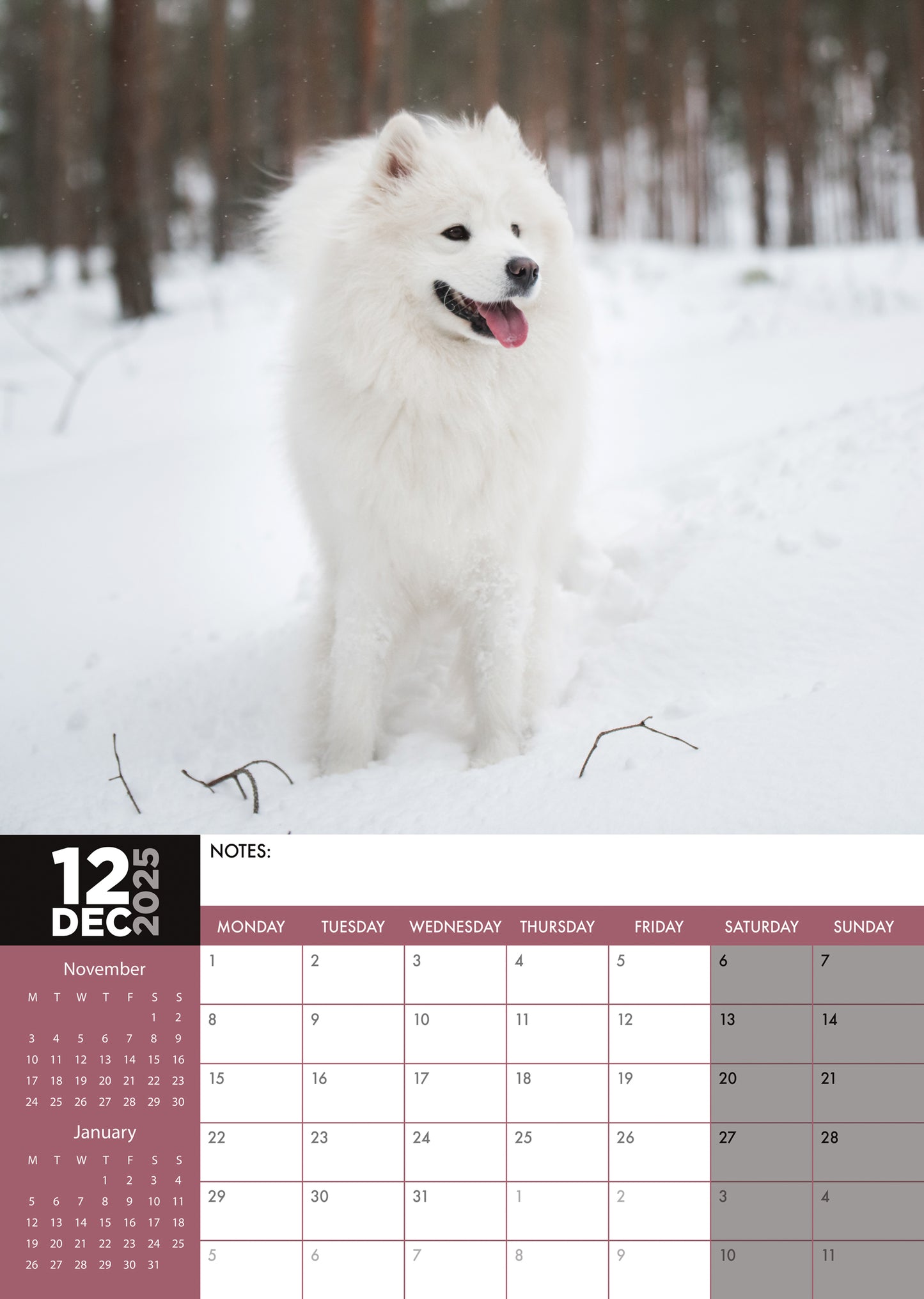 Samoyed Calendar 2025