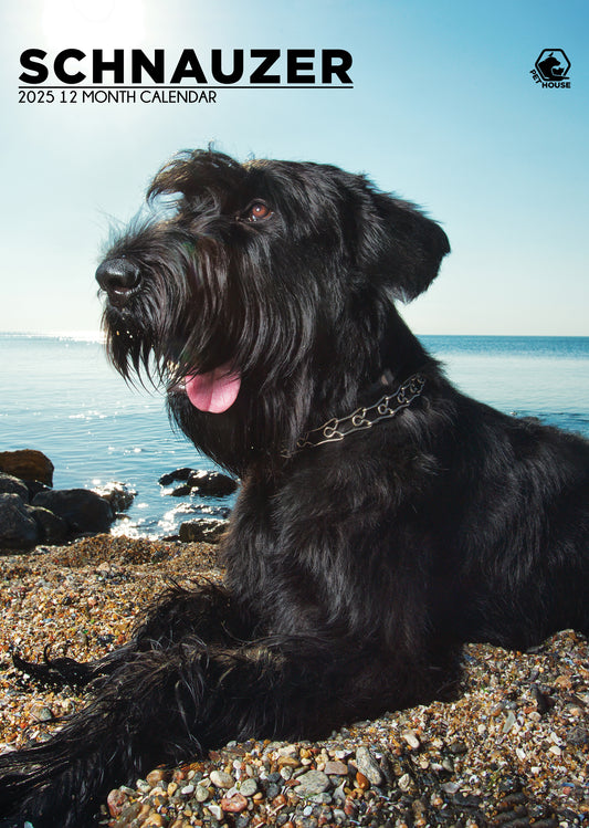 Schnauzer Calendar 2025