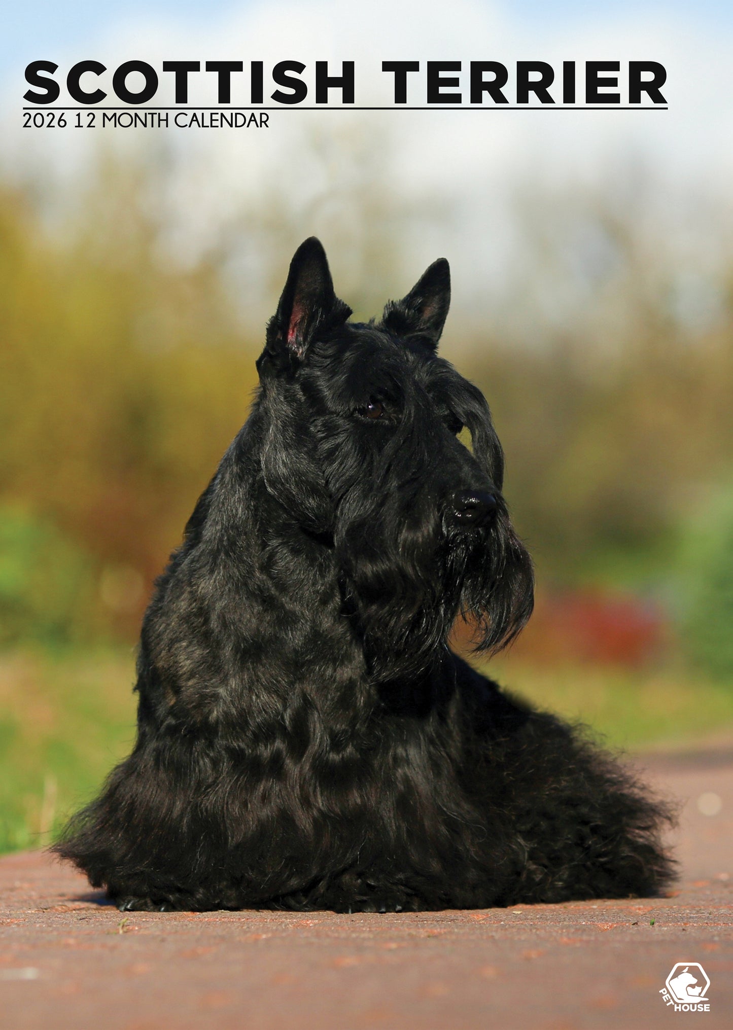 Scottish Terrier - A3 Calendar 2026