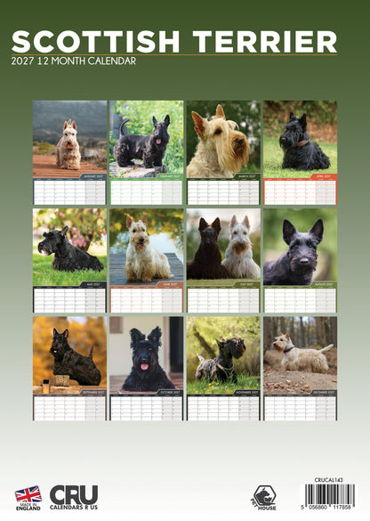 Scottish Terrier - A3 Calendar 2027