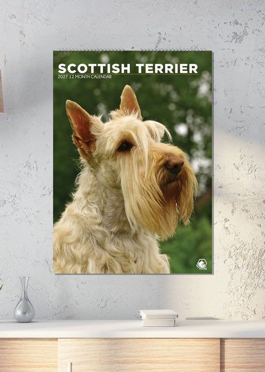 Scottish Terrier - A3 Calendar 2027