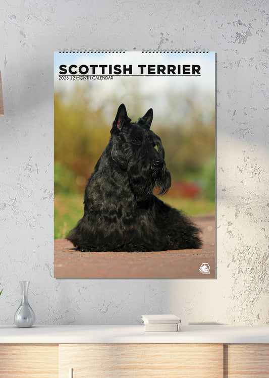 Scottish Terrier - A3 Calendar 2026