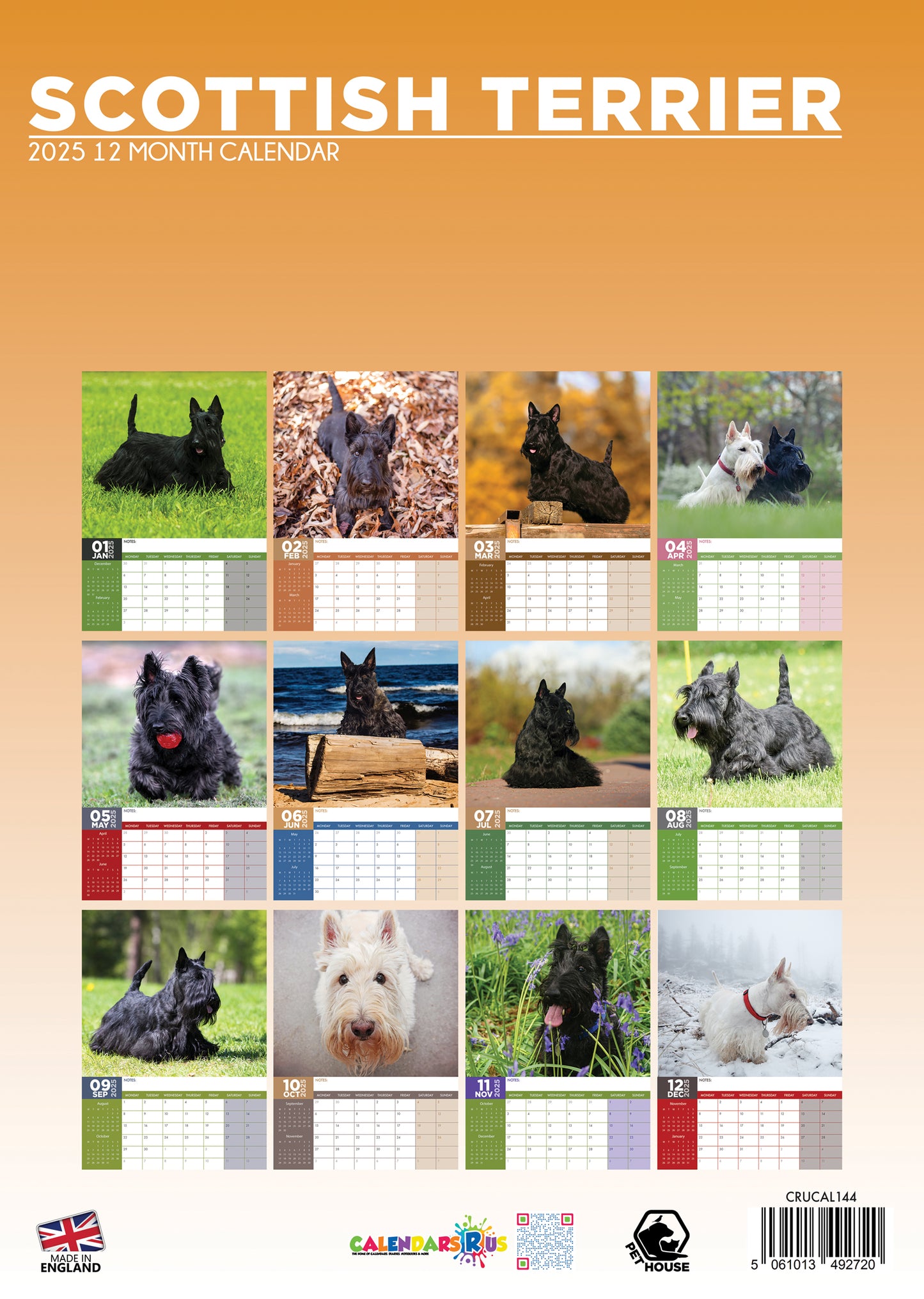 Scottish Terrier Calendar 2025