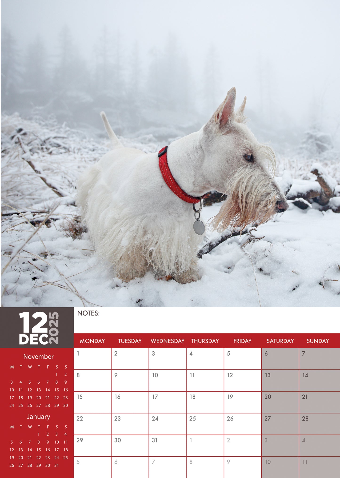 Scottish Terrier Calendar 2025