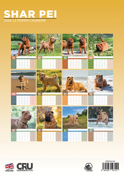 Shar Pei - A3 Calendar 2026